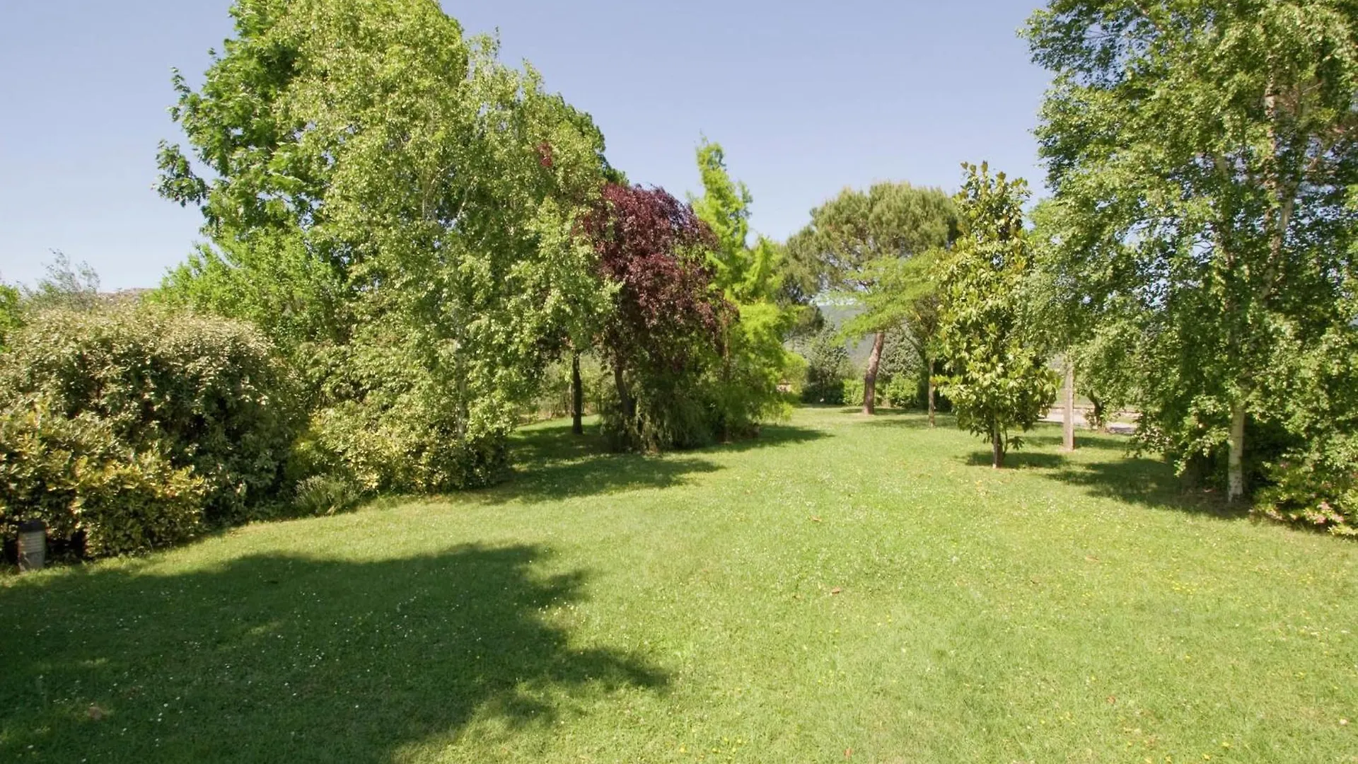Casa vacanze Luxurious Cozy Apartment With Pool Near Cortona In Tuscany Versatile