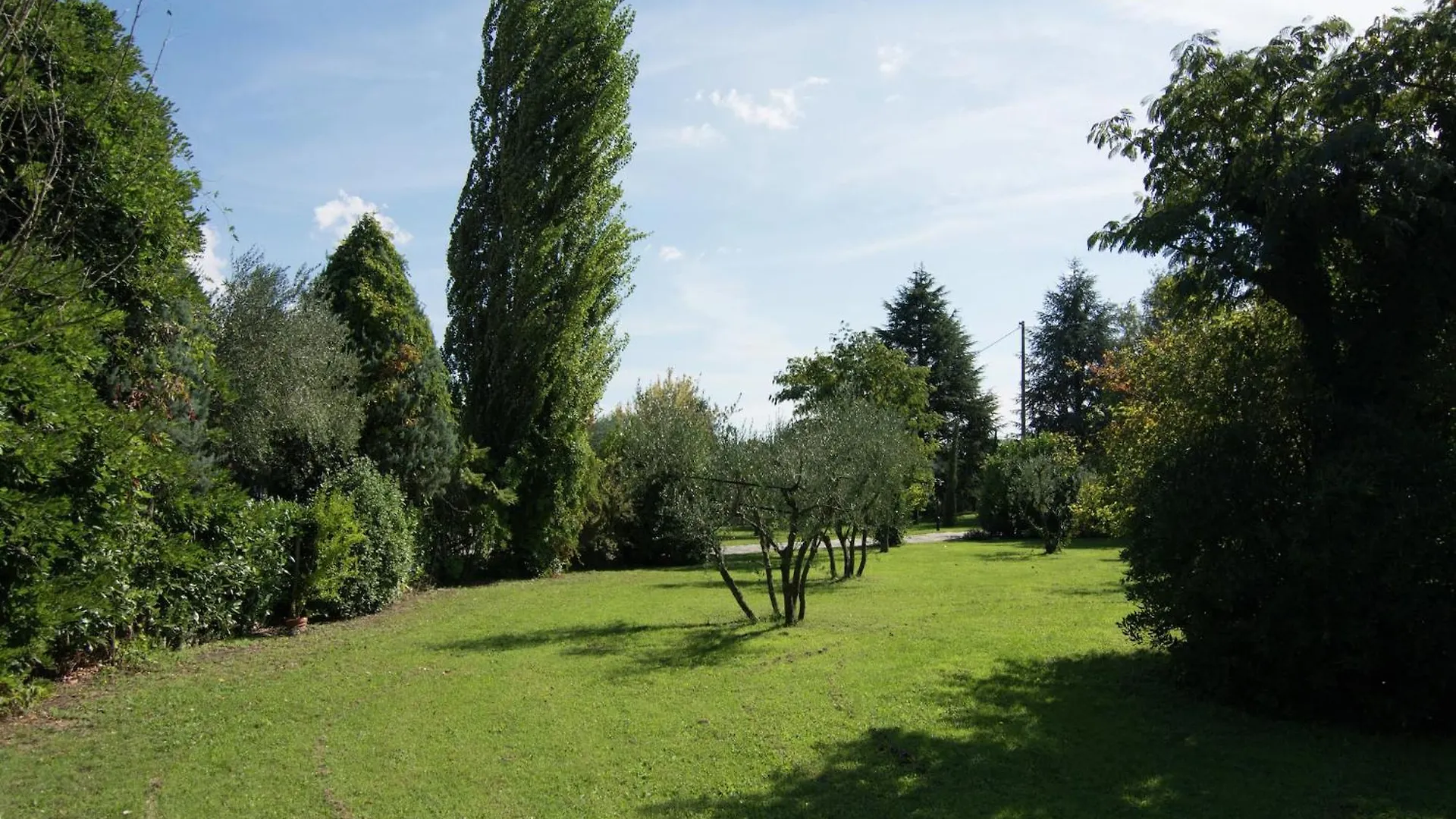 Luxurious Cozy Apartment With Pool Near Cortona In Tuscany Versatile Holiday home