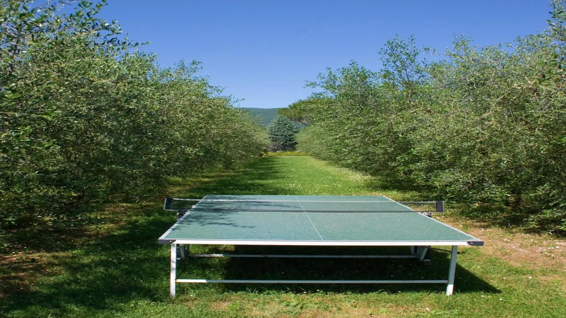 Holiday home Luxurious Cozy Apartment With Pool Near Cortona In Tuscany Versatile Italy