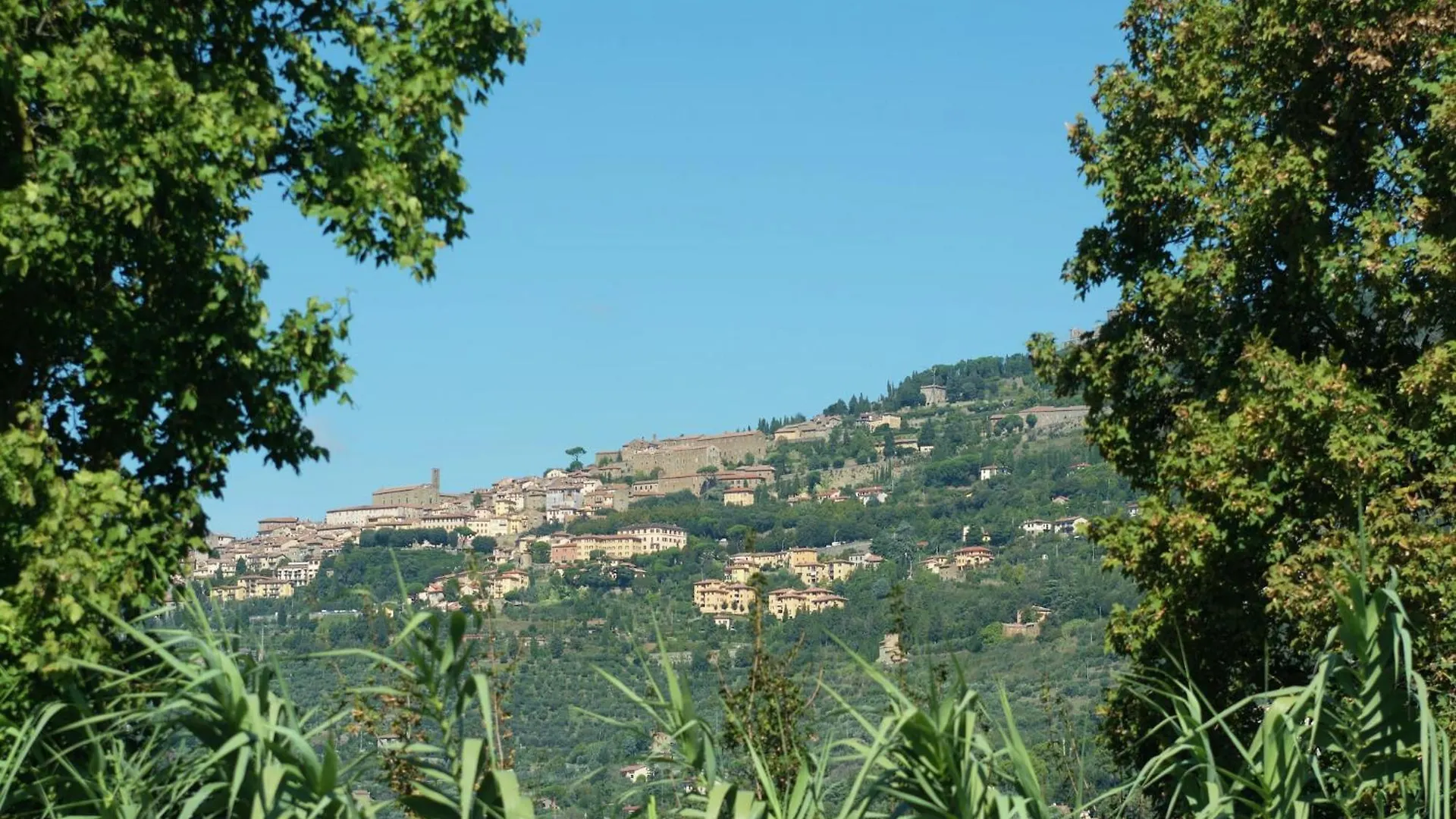 Luxurious Cozy Apartment With Pool Near Cortona In Tuscany Versatile Holiday home