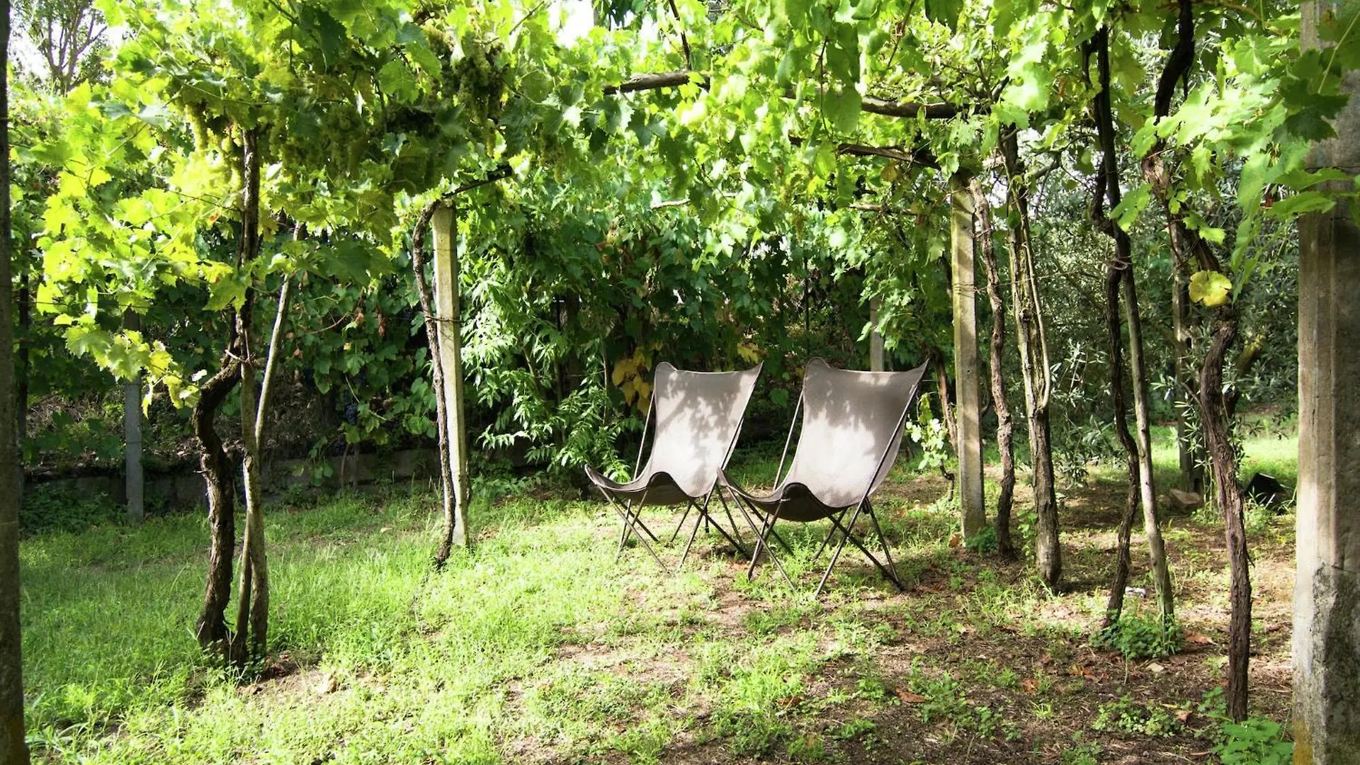 Luxurious Cozy Apartment With Pool Near Cortona In Tuscany Versatile